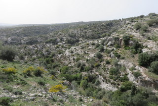 Cava Alfano